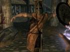 Fnis Pcea2 Player Exclusive Animations Dynamic モーション Skyrim Mod データベース Mod紹介 まとめサイト